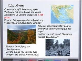 Ο Χολομών, ή Χολομώντας, ή και
Υψίζωνος (ο), είναι βουνό του νομού
Χαλκιδικής με μέγιστο υψόμετρο 1.165
μέτρα.
Είναι το δεύτερο υψηλότερο βουνό της
χερσονήσου της Χαλκιδικής μετά τον
Χολομώντας
Άθω και καλύπτει σχεδόν όλο το
ανατολικό και κεντρικό τμήμα του
νομού.
Καλύπτεται από πυκνή βλάστηση
κυρίως φυλλοβόλων
δέντρων όπως δρυς και
πλατύφυλλων.
Μεγάλο τμήμα του βουνού έχει
ενταχθεί στο δίκτυο Natura 2000.
 
