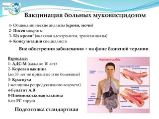 Вакцинация больных муковисцидозом
1- Общеклинические анализы (крови, мочи)A
2- Посев мокротыA
3- Б/х крови* (включая электролиты, трансаминазы)A
4- Консультация специалиста
Вне обострения заболевания + на фоне базисной терапии
Взрослые:2
1- АДС-М (каждые 10 лет)A
2- Коревая вакцина2
(до 35 лет не привитые и не болевшие)A
3- Краснуха2
( женщины репродуктивного возраста)A
4-Гепатит А,В2
5-Пневмококковая вакцина2
6-от РС вируса
Подготовка стандартная
 