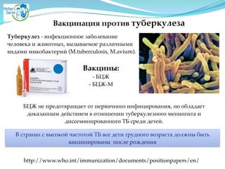 Вакцинация против туберкулеза
Туберкулез - инфекционное заболевание A
человека и животных, вызываемое различными A
видами микобактерий (M.tuberculosis, M.avium).
Вакцины:2
- БЦЖA
- БЦЖ-М
http://www.who.int/immunization/documents/positionpapers/en/
БЦЖ не предотвращает от первичного инфицирования, но обладает
доказанным действием в отношении туберкулезного менингита и
диссеминированного ТБ среди детей.
В странах с высокой частотой ТБ все дети грудного возраста должны быть
вакцинированы после рождения
 