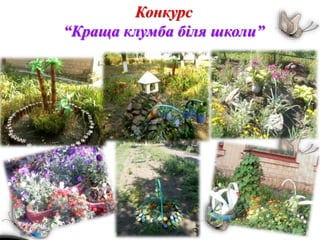 Конкурс
“Краща клумба біля школи”
 