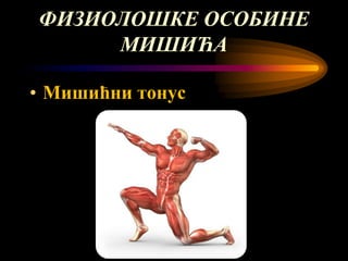 мишићни систем човека | PPT