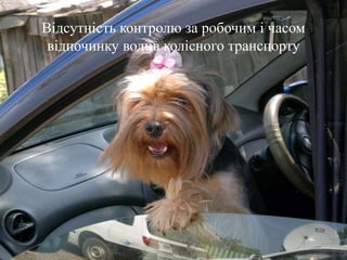 Відсутність контролю за робочим і часом
відпочинку водіїв колісного транспорту
 