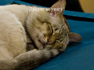 Дякую за увагу!
 