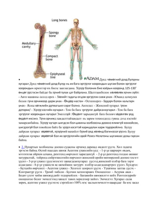 доод мөчдийн гэмтэл | PDF