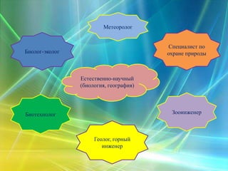 Естественно-научный
(биология, география)
Биотехнолог
Биолог-эколог
Метеоролог
Зооинженер
Специалист по
охране природы
Геолог, горный
инженер
 