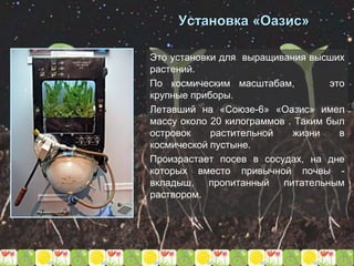 Установка «Оазис»
Это установки для выращивания высших
растений.
По космическим масштабам, это
крупные приборы.
Летавший на «Союзе-6» «Оазис» имел
массу около 20 килограммов . Таким был
островок растительной жизни в
космической пустыне.
Произрастает посев в сосудах, на дне
которых вместо привычной почвы -
вкладыш, пропитанный питательным
раствором.
 