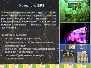 Комплекс BPS
Учёными исследовательского центра NASA
Ames были получены первые снимки
растений, которые были выращены на
Международной Космической Станции при
помощи комплекса Biomass Production
System (BPS).
В состав BPS входят:
• четыре камеры для растений,
• системы доставки питательных веществ,
• системы контроля
влажности и температуры, атмосферного
давления и вентиляции,
• системы обработки информации
и видеосистемы.
 