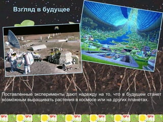 Взгляд в будущее
Поставленные эксперименты дают надежду на то, что в будущем станет
возможным выращивать растения в космосе или на других планетах.
 