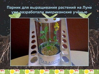 Парник для выращивания растений на Луне
уже разработали американские учёные
 