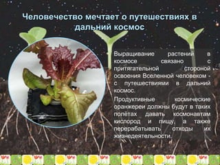 Человечество мечтает о путешествиях в
дальний космос
Выращивание растений в
космосе связано с
притягательной стороной
освоения Вселенной человеком -
с путешествиями в дальний
космос.
Продуктивные космические
оранжереи должны будут в таких
полётах давать космонавтам
кислород и пищу, а также
перерабатывать отходы их
жизнедеятельности.
 