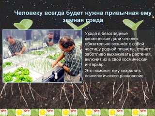 Человеку всегда будет нужна привычная ему
земная среда
Уходя в безоглядные
космические дали человек
обязательно возьмёт с собой
частицу родной планеты, станет
заботливо выхаживать растения,
включит их в свой космический
интерьер.
Это поможет ему сохранять
психологическое равновесие.
 