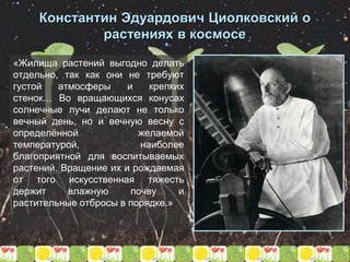 Константин Эдуардович Циолковский о
растениях в космосе
«Жилища растений выгодно делать
отдельно, так как они не требуют
густой атмосферы и крепких
стенок… Во вращающихся конусах
солнечные лучи делают не только
вечный день, но и вечную весну с
определённой желаемой
температурой, наиболее
благоприятной для воспитываемых
растений. Вращение их и рождаемая
от того искусственная тяжесть
держит влажную почву и
растительные отбросы в порядке.»
 