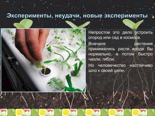 Эксперименты, неудачи, новые эксперименты
Непростое это дело устроить
огород или сад в космосе.
Вначале растения
принимались расти вроде бы
нормально, а потом быстро
чахли, гибли.
Но человечество настойчиво
шло к своей цели.
 