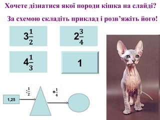 1
Хочете дізнатися якої породи кішка на слайді?
За схемою складіть приклад і розв’яжіть його!
1,25
 