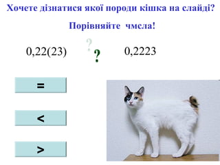 )23(22,0 2223,0
Хочете дізнатися якої породи кішка на слайді?
Порівняйте чмсла!
=
<
>
 