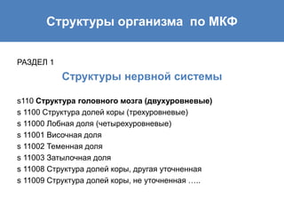 Структуры организма по МКФ
РАЗДЕЛ 1
Структуры нервной системы
s110 Структура головного мозга (двухуровневые)
s 1100 Структура долей коры (трехуровневые)
s 11000 Лобная доля (четырехуровневые)
s 11001 Височная доля
s 11002 Теменная доля
s 11003 Затылочная доля
s 11008 Структура долей коры, другая уточненная
s 11009 Структура долей коры, не уточненная …..
 