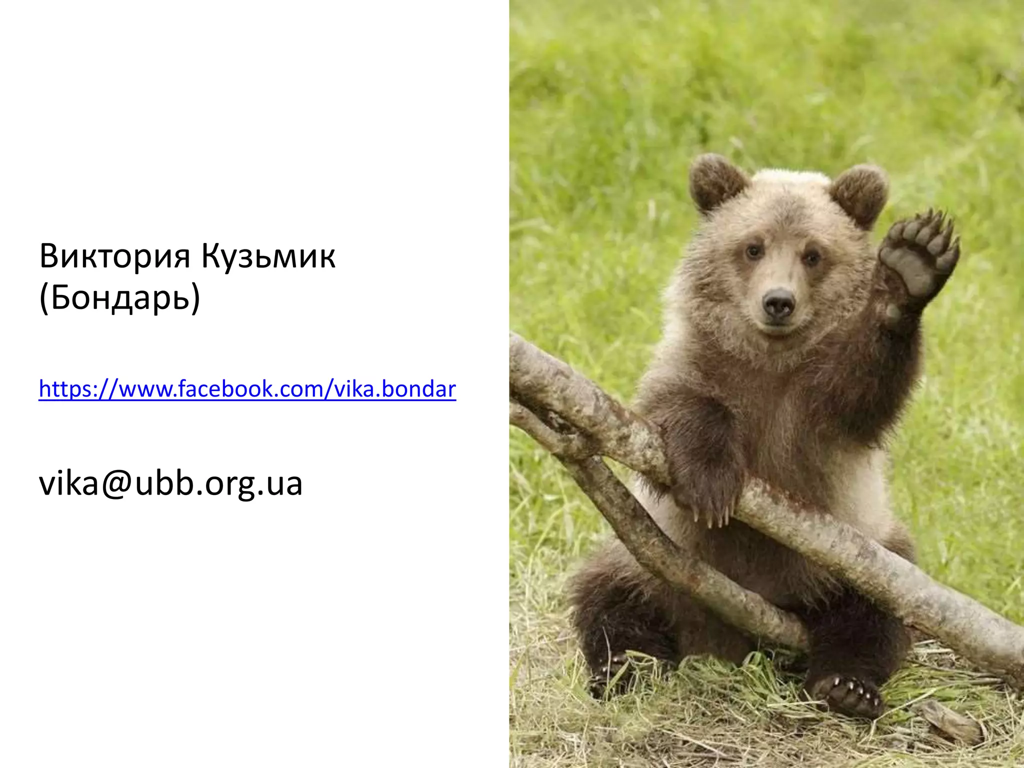 Виктория Кузьмик
(Бондарь)
https://www.facebook.com/vika.bondar
vika@ubb.org.ua