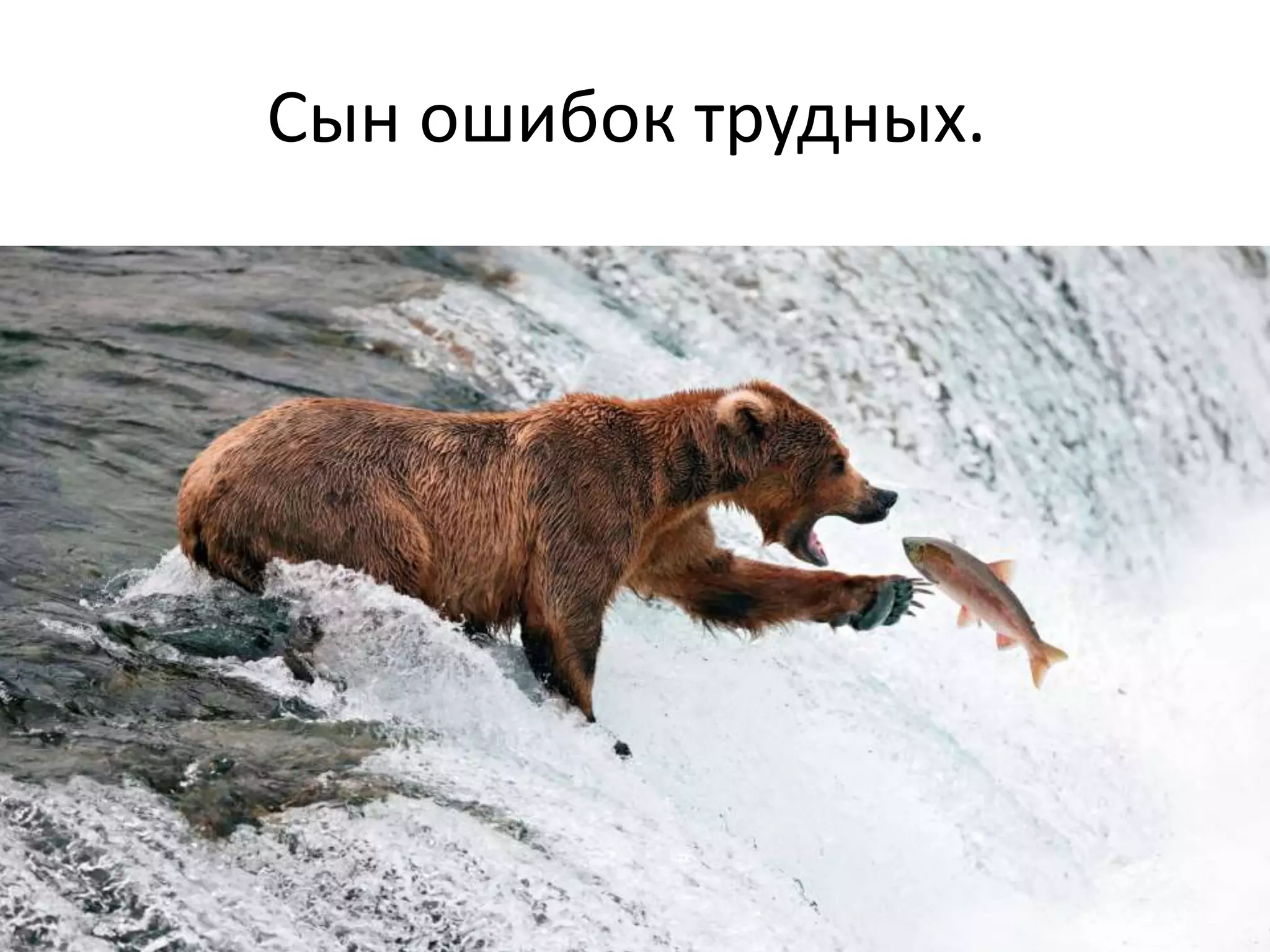Сын ошибок трудных.