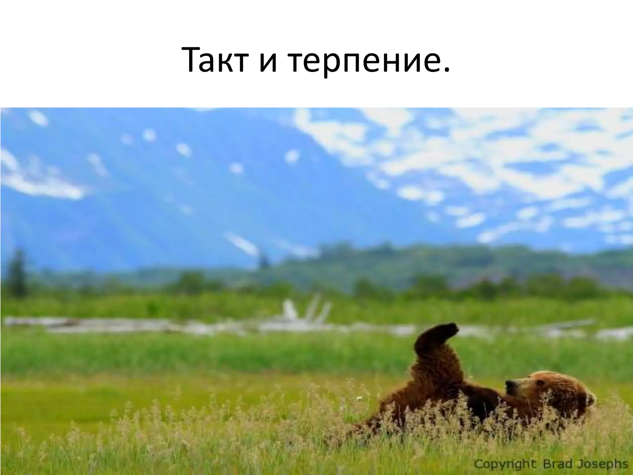 Такт и терпение.