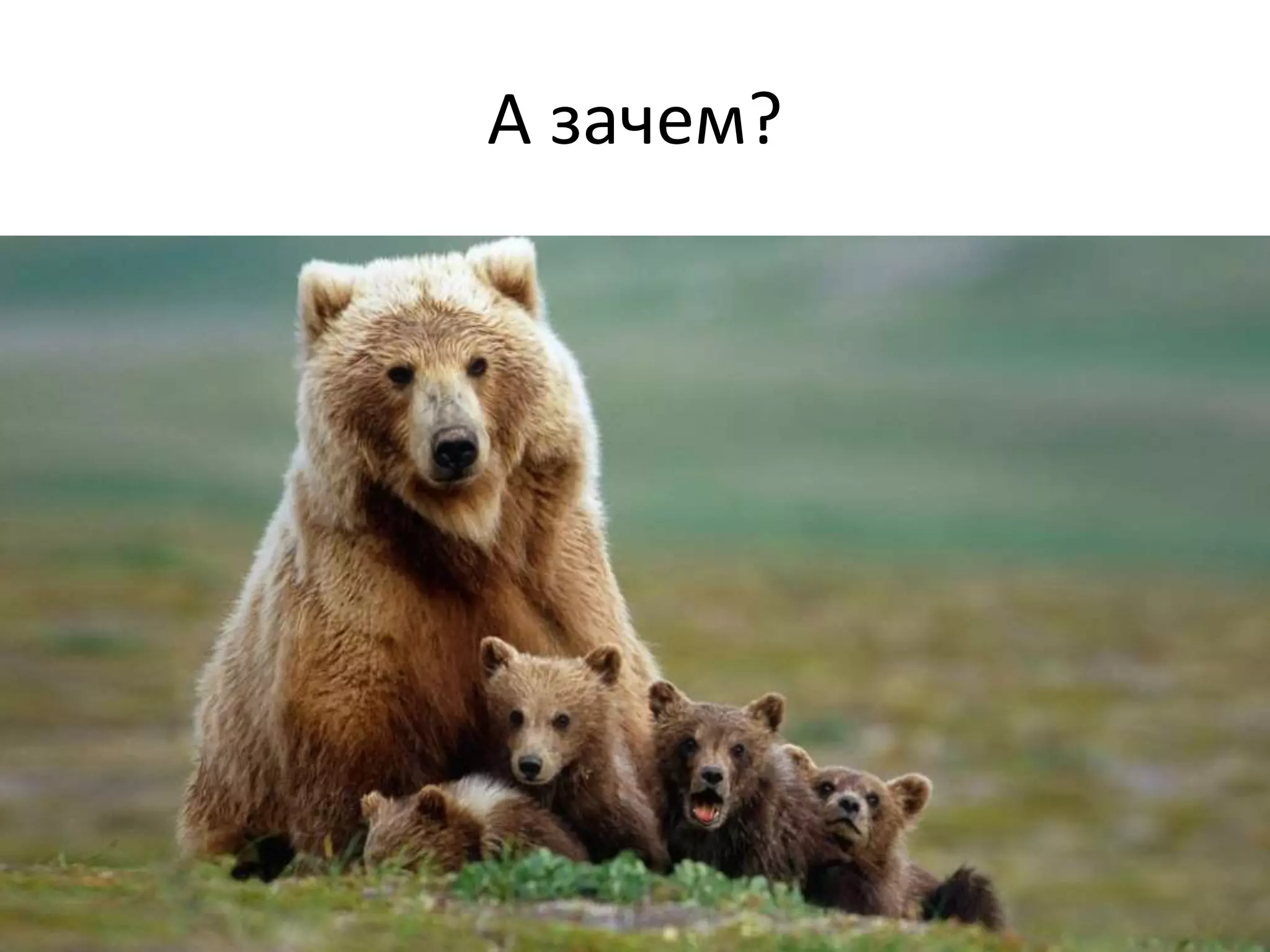 А зачем?