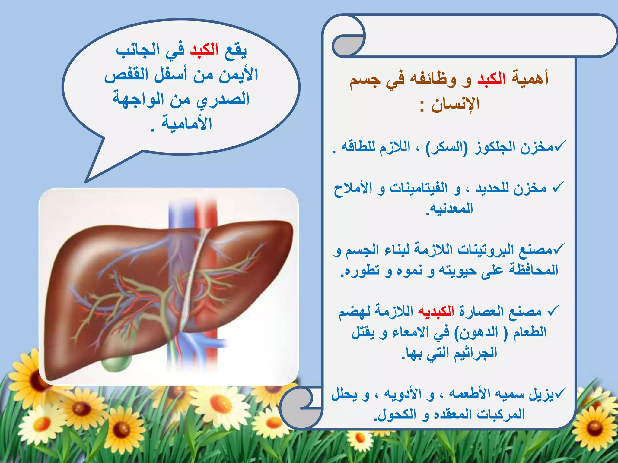 التهاب الكبد الوبائي | PPTX
