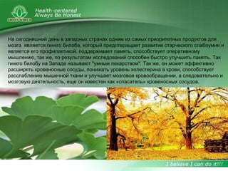 На сегодняшний день в западных странах одним из самых приоритетных продуктов для
мозга является гинкго билоба, который предотвращает развитие старческого слабоумия и
является его профилактикой, поддерживает память, способствует оперативному
мышлению, так же, по результатам исследований способен быстро улучшить память. Так
гинкго билобу на Западе называют "умным лекарством". Так же, он может эффективно
расширять кровеносные сосуды, понижать уровень холестерина в крови, способствует
расслаблению мышечной ткани и улучшает мозговое кровообращении, а следовательно и
мозговую деятельность, еще он известен как «спасатель» кровеносных сосудов.
 