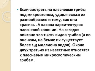  Если смотреть на плесневые грибы
под микроскопом, удивляешься их
разнообразию и тому, как они
красивы. А какова «архитектура»
плесневой колонии! На сегодня
описано 100 тысяч видов грибов (а по
оценкам, на Земле их существует
более 1,5 миллиона видов). Около
двух третьих из известных относятся
к плесневым микроскопическим
грибам .
 
