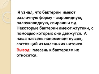 Я узнал, что бактерии имеют
различную форму - шаровидную,
палочковидную, спирали и т.д.
Некоторые бактерии имеют жгутики, с
помощью которых они движутся. А
наша плесень напоминает пушок,
состоящий из маленьких ниточек.
Вывод: плесень к бактериям не
относится.
 