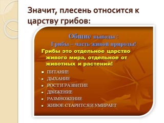Значит, плесень относится к
царству грибов:
 