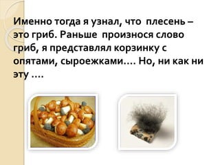 Именно тогда я узнал, что плесень –
это гриб. Раньше произнося слово
гриб, я представлял корзинку с
опятами, сыроежками.… Но, ни как ни
эту ….
 