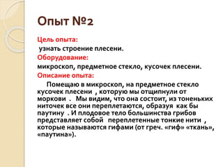 Опыт №2
Цель опыта:
узнать строение плесени.
Оборудование:
микроскоп, предметное стекло, кусочек плесени.
Описание опыта:
Помещаю в микроскоп, на предметное стекло
кусочек плесени , которую мы отщипнули от
моркови . Мы видим, что она состоит, из тоненьких
ниточек все они переплетаются, образуя как бы
паутину . И плодовое тело большинства грибов
представляет собой переплетенные тонкие нити ,
которые называются гифами (от греч. «гиф» «ткань»,
«паутина»).
 