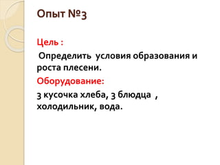 Опыт №3
Цель :
Определить условия образования и
роста плесени.
Оборудование:
3 кусочка хлеба, 3 блюдца ,
холодильник, вода.
 