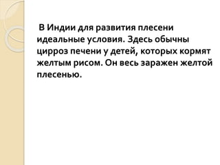 В Индии для развития плесени
идеальные условия. Здесь обычны
цирроз печени у детей, которых кормят
желтым рисом. Он весь заражен желтой
плесенью.
 