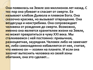 Она появилась на Земле 200 миллионов лет назад. С
тех пор она убивает и спасает от смерти. Ее
называют хлебом Дьявола и плевком Бога. Она
сказочно красива, но вызывает отвращение. Она
вездесуща и неистребима. Она сопровождает
человека от рождения до смерти. Возможно,
именно она является хранителем жизни на Земле,
но может превратиться в чуму XXI века. Мы
сталкиваемся с ней постоянно: привычная,
разноцветная, заурядная.Человек либо не замечает
ее, либо самонадеянно избавляется от нее, считая,
что именно он — хозяин на планете. И если она
захочет вытеснить человека из своей зоны
обитания, она это сделает...
 