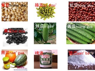黃豆huang’ dou` 綠豆lū` dou` 紅豆hong’ dou`
黑豆hei dou`
絲瓜si gua 黃瓜huang’ gua
南瓜nan’ gua 啤酒pi’ jiuˇ 鹽巴yan’ ba
 