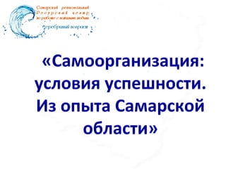 «Самоорганизация:
условия успешности.
Из опыта Самарской
области»
 