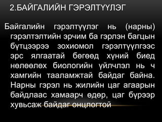 2.БАЙГАЛИЙН ГЭРЭЛТҮҮЛЭГ
Байгалийн гэрэлтүүлэг нь (нарны)
гэрэлтэлтийн эрчим ба гэрлэн багцын
бүтцээрээ зохиомол гэрэлтүүлгээс
эрс ялгаатай бөгөөд хүний биед
нөлөөлөх биологийн үйлчлэл нь ч
хамгийн тааламжтай байдаг байна.
Нарны гэрэл нь жилийн цаг агаарын
байдлаас хамаарч өдөр, цаг бүрээр
хувьсаж байдаг онцлогтой
 