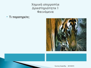  Τι παρατηρείτε;
20/10/2015Κων/νος Στεφανίδης
 