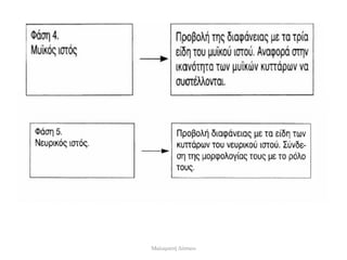 Μαλαματή Δίτσιου
 