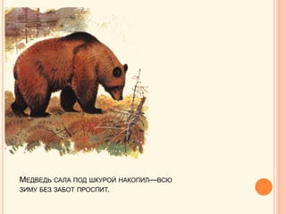 МЕДВЕДЬ САЛА ПОД ШКУРОЙ НАКОПИЛ—ВСЮ
ЗИМУ БЕЗ ЗАБОТ ПРОСПИТ.
 