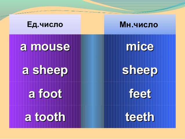 Множественное число в английском исключения. Корень во множественном числе коренья. Множественное число в английском исключения упражнения. Особые случаи образования множественного числа имен существительных. Tooth множественное число.