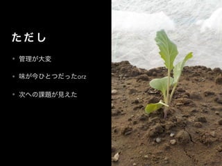 た だ し
• 管理が大変
• 味が今ひとつだったorz
• 次への課題が見えた
 