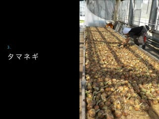 タ マ ネ ギ
3 .
 