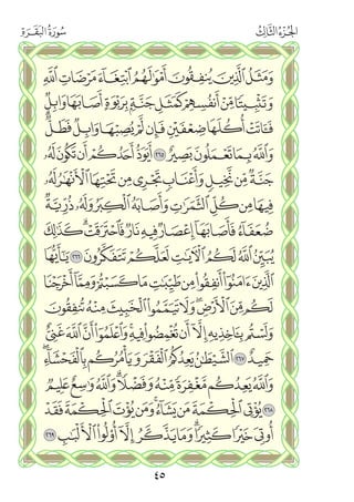 القران الكريم - مصحف المدينة الجديد