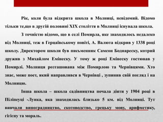 Рік, коли була відкрита школа в Молниці, невідомий. Відомо
тільки те,що в другій половині XIX століття в Молниці існувала школа.
З точністю відомо, що в селі Помирла, яке знаходилось недалеко
від Молниці, теж в Герцаївському повіті, А. Валюта відкрив у 1338 році
школу. Директором школи був письменник Самсон Боднареску, котрий
дружив з Михайлом Емінеску. У тому ж році Емінеску гостював у
Помирлі. Молниця розташована між Помирлою та Чернівцями. Хто
знає, може поет, який направлявся в Чернівці , зупинив свій погляд і на
Молницю.
Інша школа – школа садівництва почала діяти у 1904 році в
Піліпеуці -Лунка, яка знаходилась близько 5 км. від Молниці. Тут
вивчали виноградництво, скотоводство, грецьку мову, арифметику,
гігієну та мораль.
 