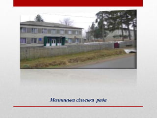 Молницька сільська рада
 