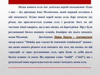 Назва нашого села має декілька версій походження. Одна
з них – від прізвища Іона Молничана, який перший оселився в
цій місцевості. Згідно іншої версії назва села, бере початок від
річки, що простягається вздовж села і розділяє його на дві
частини. Інші говорять, що в цих місцях, на березі річки Прут були
розташовані багато водяних млинів, ймовірно від цього походить
назва Молниця. Дослідниця
автор книги "Molniţa şase veacuri de statornicie românească" вважає,
що назва нашого рідного села походить від того, що колись на цій
території, де зараз розташоване село, крім буків та дубів росло
багато ялинок та сосен. Від корення слово "molid" ("mol"), що з
румунської мови перекладається як сосна і походить назва села.
 