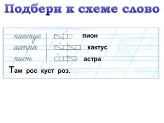 пион
кактус
астра
Там рос куст роз.
 