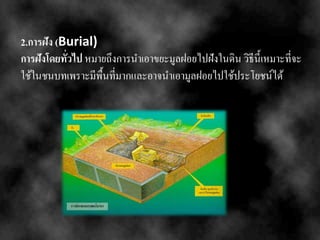 2.การฝัง (Burial)
การฝังโดยทั่วไป หมายถึงการนาเอาขยะมูลฝอยไปฝังในดิน วิธีนี้เหมาะที่จะ
ใช้ในชนบทเพราะมีพื้นที่มากและอาจนาเอามูลฝอยไปใช้ประโยชน์ได้
 