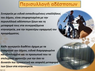 Περισυλλογή
Συνεργεία με ειδικά εκπαιδευμένους υπαλλήλους
του Δήμου, είναι επιφορτισμένα με την
περισυλλογή αδέσποτων ζώων και τη
μεταφορά τους στα συνεργαζόμενα
κτηνιατρεία, για την περαιτέρω εφαρμογή του
προγράμματος.
Κάθε συνεργείο διαθέτει όχημα με τα
διακριτικά του Δήμου, ειδικά διαμορφωμένο
και εξοπλισμένο και το προσωπικό που το
στελεχώνει φροντίζει για την όσο το
δυνατόν πιο προσεκτική και ασφαλή μεταφορά
των ζώων στα κτηνιατρεία.
 